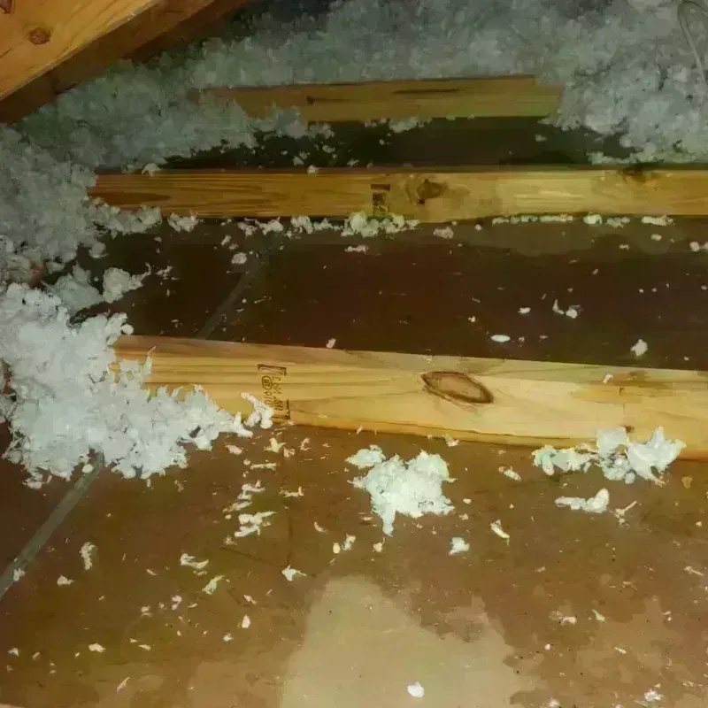 Attic Water Damage in Montague, MI