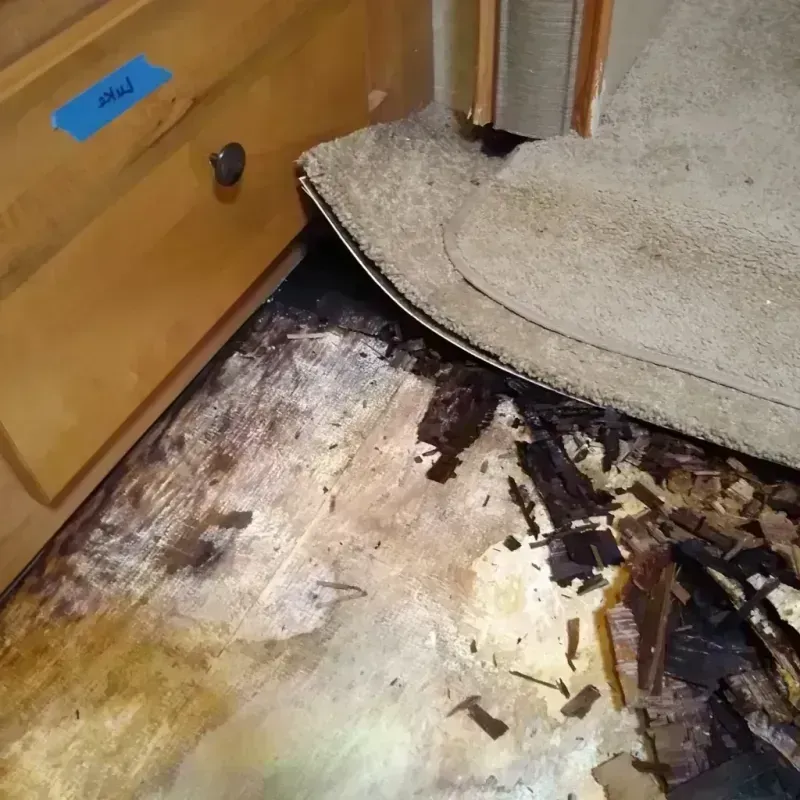 Wood Floor Water Damage in Montague, MI